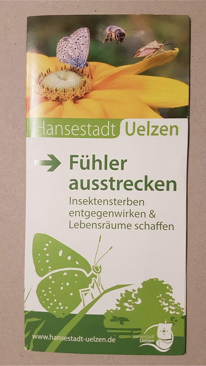 Insektenschutz_01-03_Bild_Fühler ausstrecken