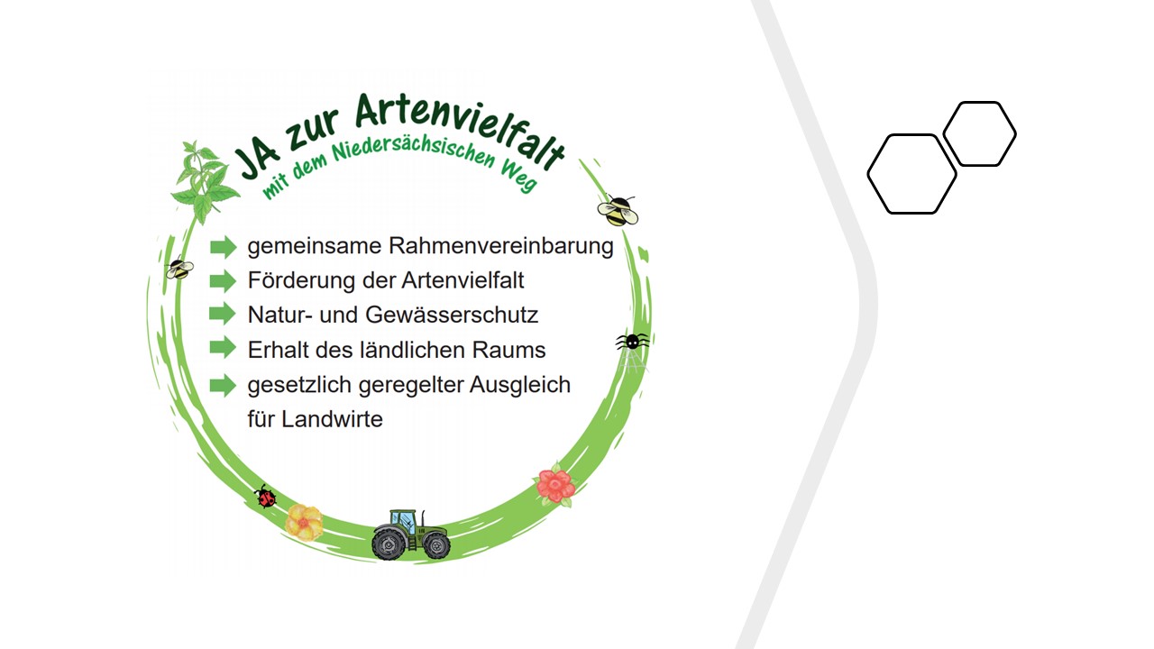 Insektenschutz_02-01_Bild_Ja zur Artenvielfalt_20200816