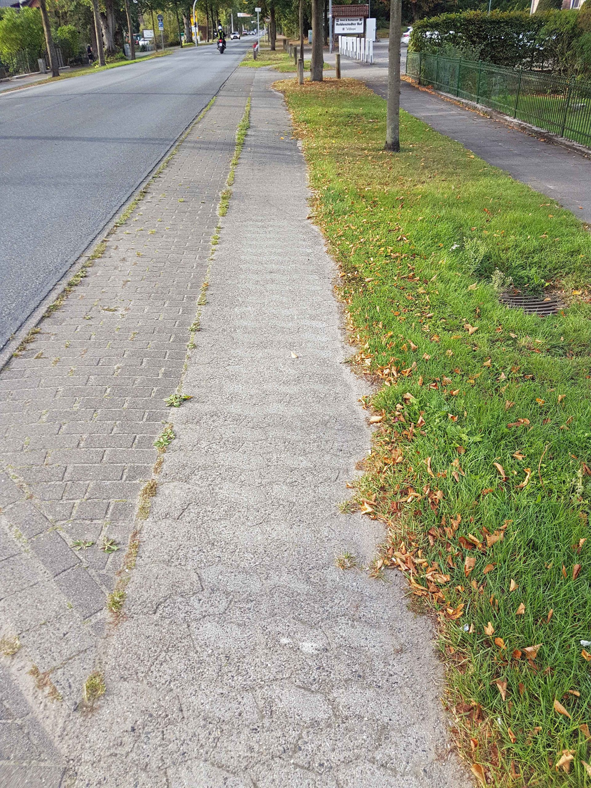 WEB_Radweg-02-1